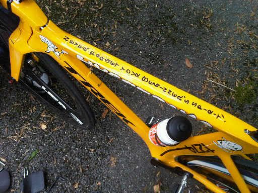 custom bicycle decals