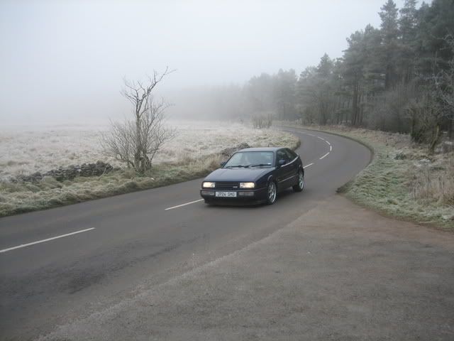 IMG_5841.jpg?t=1230747052