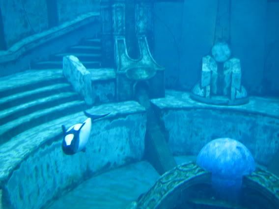 lost whale in atlantis