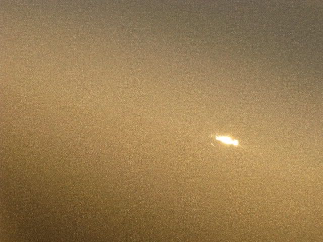IMG_1950.jpg