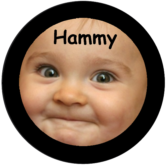 HammyButton2.png