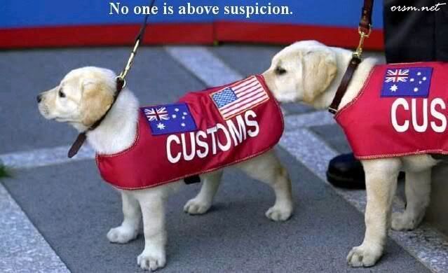 aus_customs.jpg