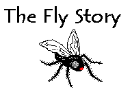TheFlyStory.gif