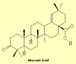 Moronic Acid