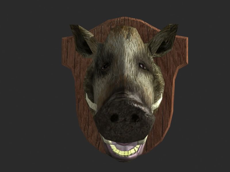 boar_head_fiished2.jpg