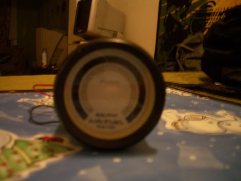 [Image: IMGP2627.jpg]