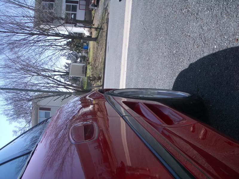 [Image: IMGP2730.jpg]