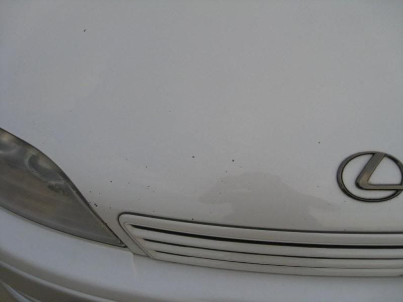 [Image: IMG_0321.jpg]