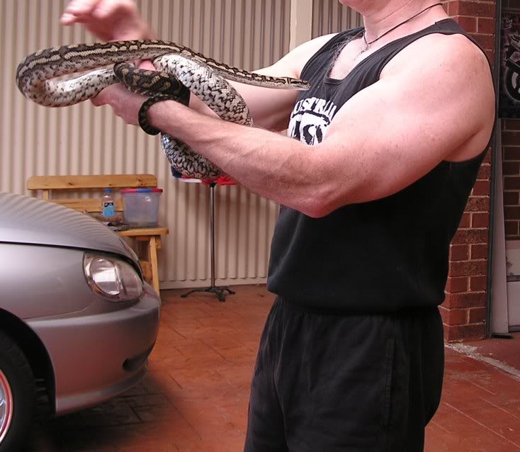 [Image: Harrycrp.jpg]