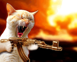 shoooooot!