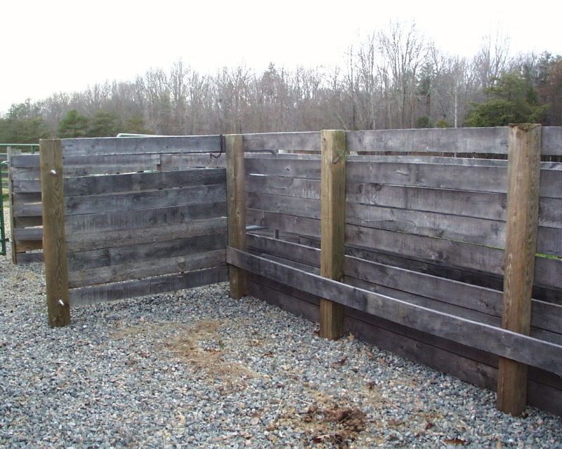 Chute length? - Cattle