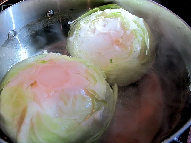 cabbage003.jpg