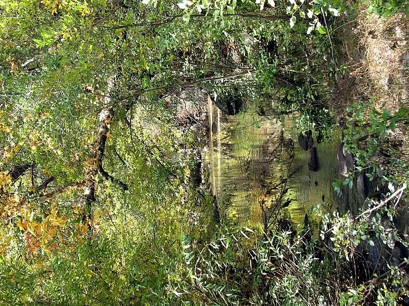 IMAGE: http://img.photobucket.com/albums/v307/huhwhat/creeksmall.jpg
