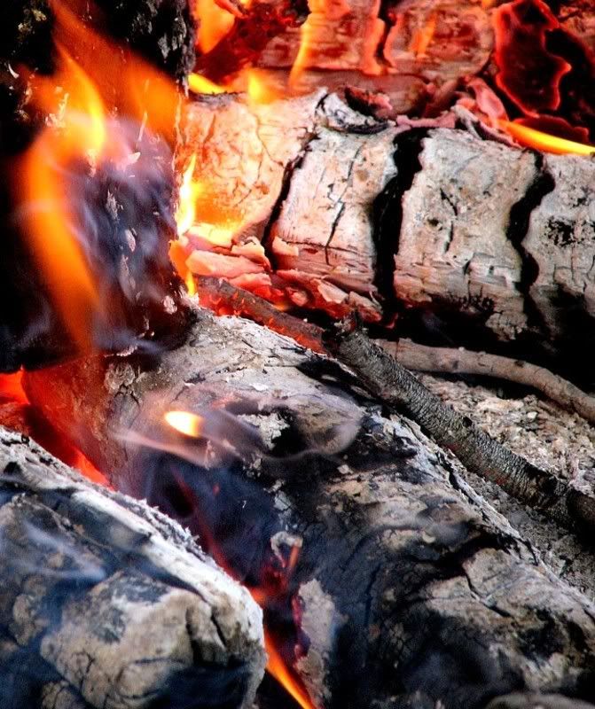 IMAGE: http://img.photobucket.com/albums/v307/huhwhat/fire1.jpg