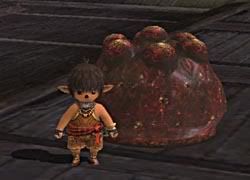 Final Fantasy XI - Halifirien