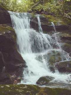 roland's falls large