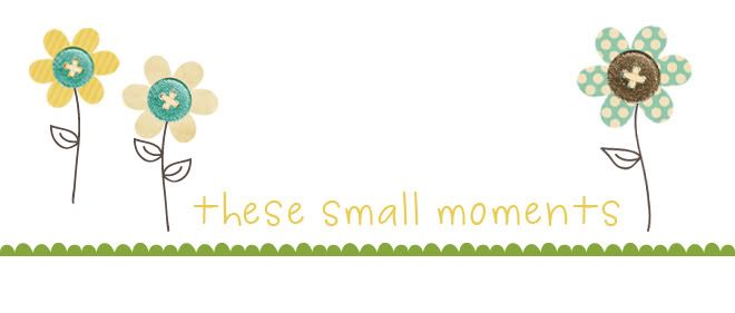 Mandy Irwin: these small moments