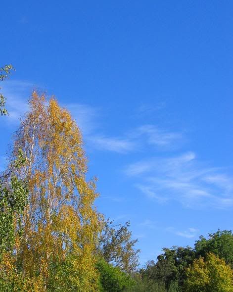 fall
