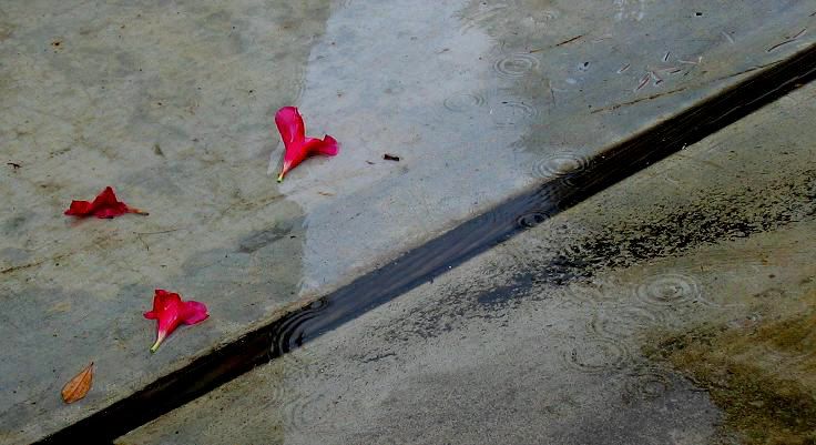 rain
