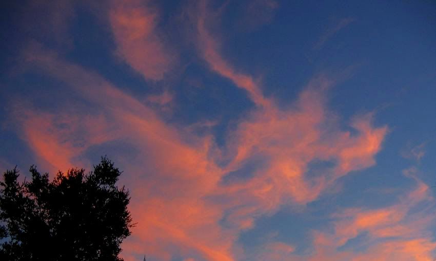 red dragon