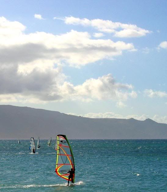 surfing Maui