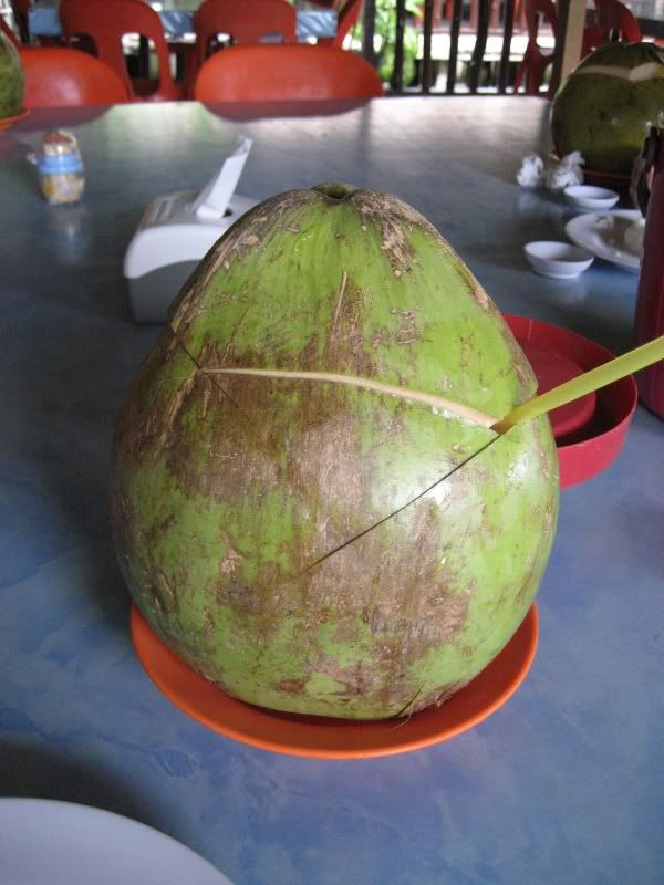 Coconut Drink