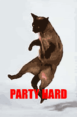 jumpingcat-party-hard.gif