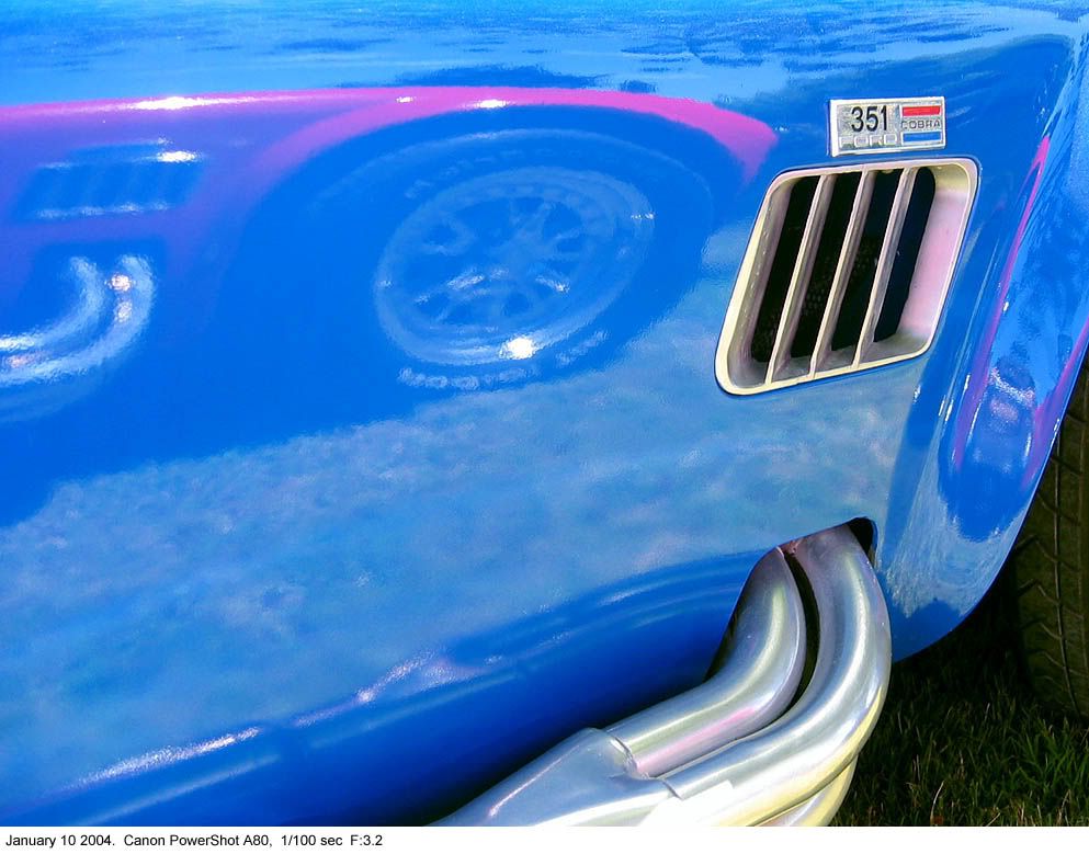 IMAGE: http://img.photobucket.com/albums/v31/Moppie/Cobrareflection.jpg