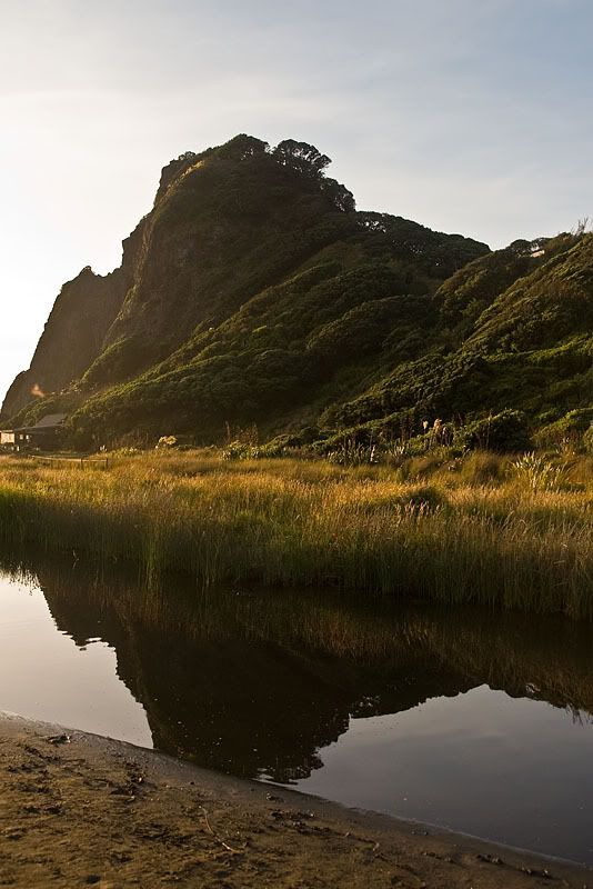 IMAGE: http://img.photobucket.com/albums/v31/Moppie/IMG_9642-Edit.jpg