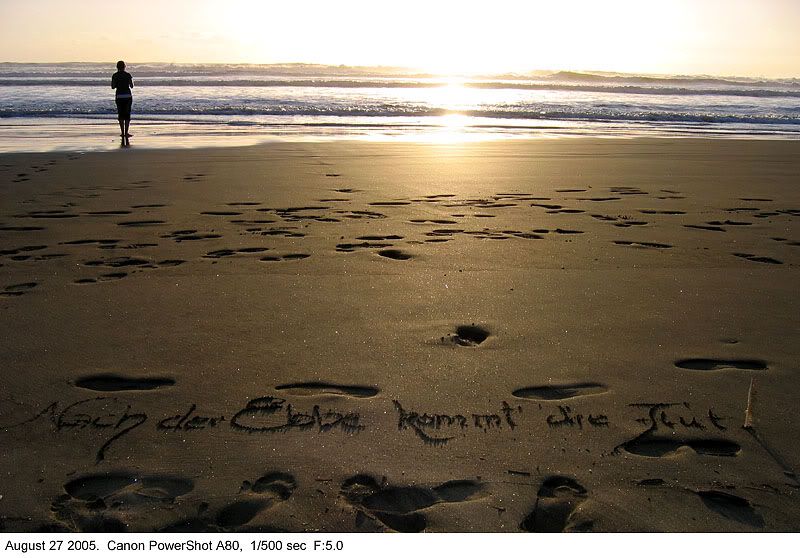 IMAGE: http://img.photobucket.com/albums/v31/Moppie/Totheebb-tidecomesyou.jpg