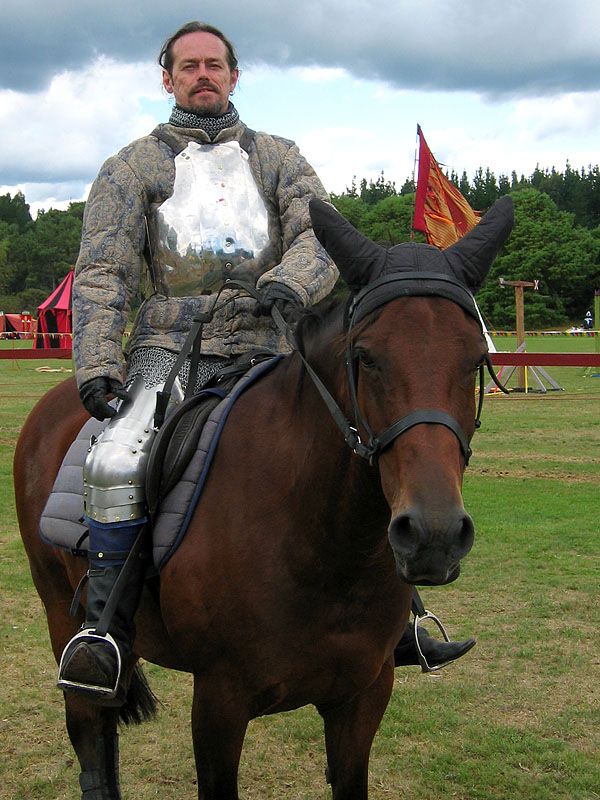 IMAGE: http://img.photobucket.com/albums/v31/Moppie/jousting3.jpg