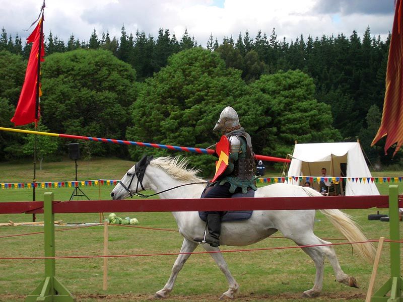 IMAGE: http://img.photobucket.com/albums/v31/Moppie/jousting5.jpg