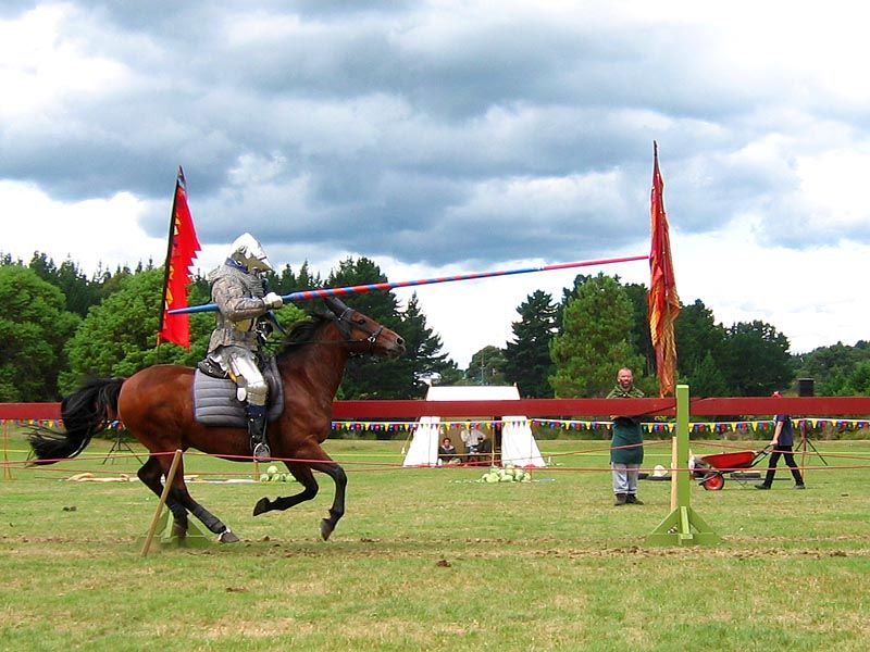 IMAGE: http://img.photobucket.com/albums/v31/Moppie/jousting6.jpg