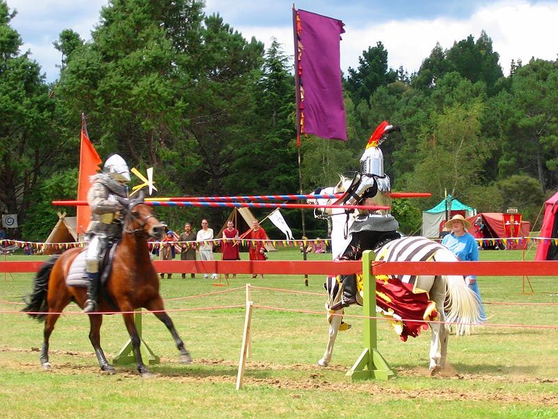 IMAGE: http://img.photobucket.com/albums/v31/Moppie/jousting7.jpg