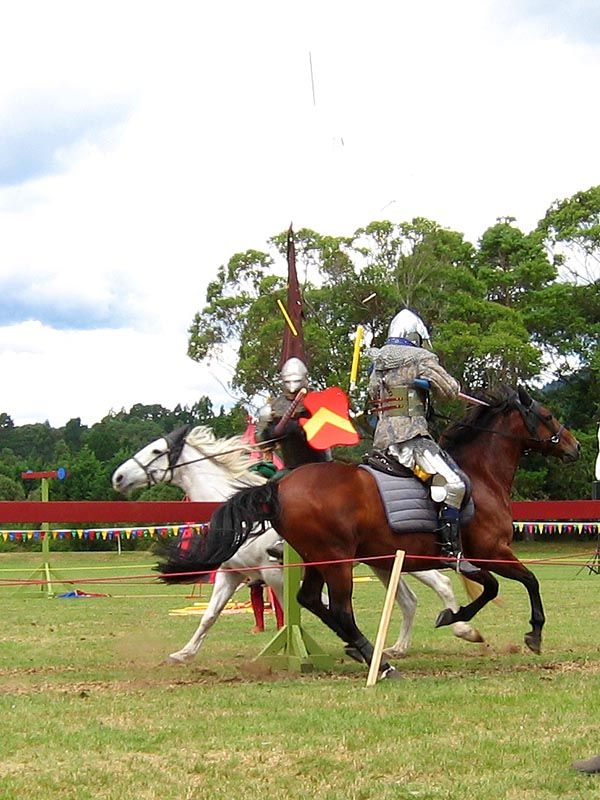 IMAGE: http://img.photobucket.com/albums/v31/Moppie/jousting8.jpg