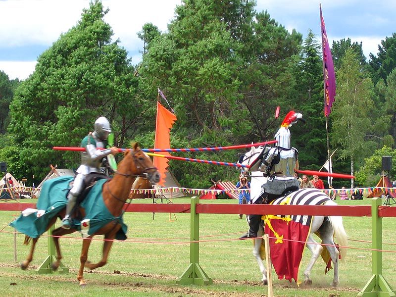 IMAGE: http://img.photobucket.com/albums/v31/Moppie/jousting9.jpg