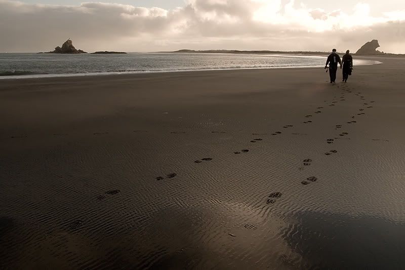 IMAGE: http://img.photobucket.com/albums/v31/Moppie/lovebirds.jpg