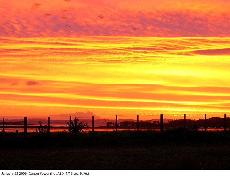 IMAGE: http://img.photobucket.com/albums/v31/Moppie/mangersunset.jpg