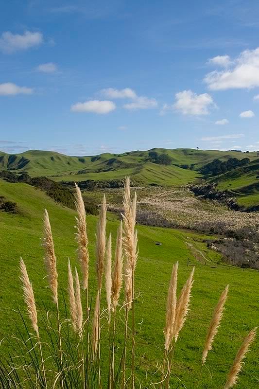 IMAGE: http://img.photobucket.com/albums/v31/Moppie/potoutoitoi.jpg