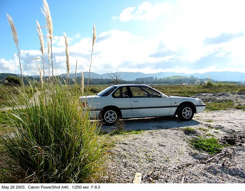 IMAGE: http://img.photobucket.com/albums/v31/Moppie/preludebeach2.jpg