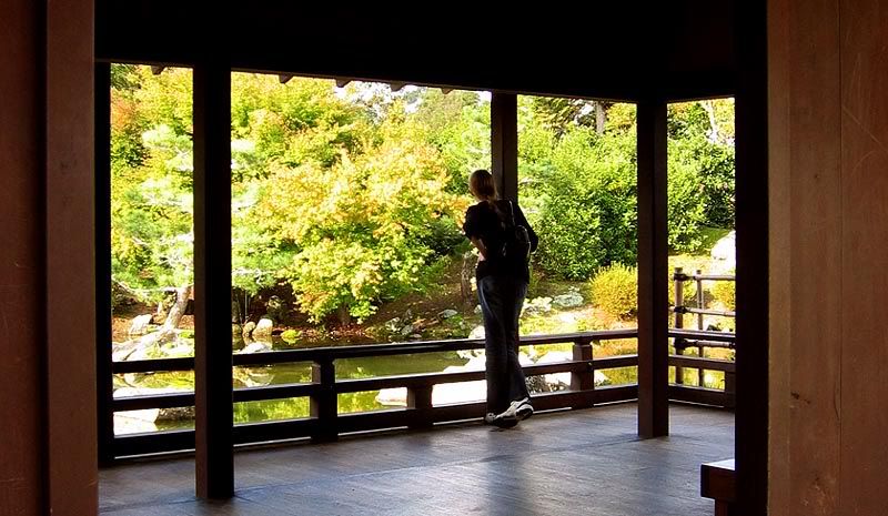 IMAGE: http://img.photobucket.com/albums/v31/Moppie/quitecontemplation.jpg