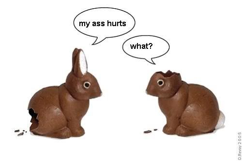 bunnies-easterasshurtswhat.jpg