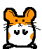 Hammy.gif