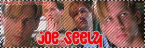 Joe Seely