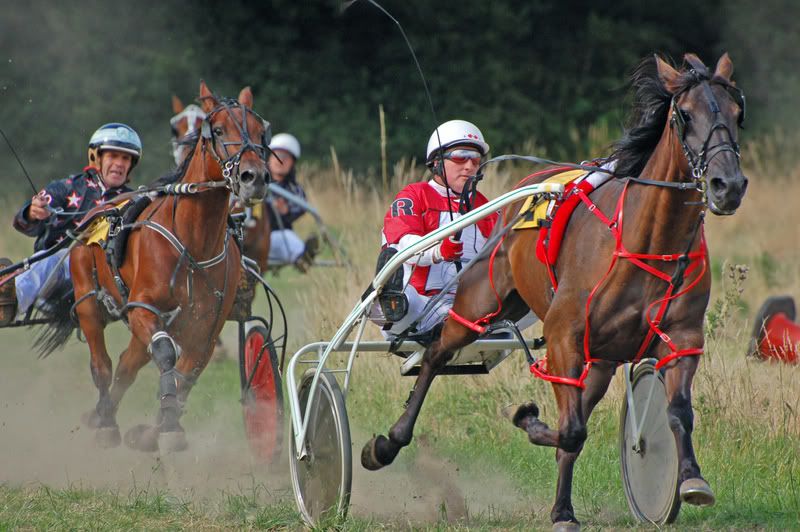 Harness04.jpg