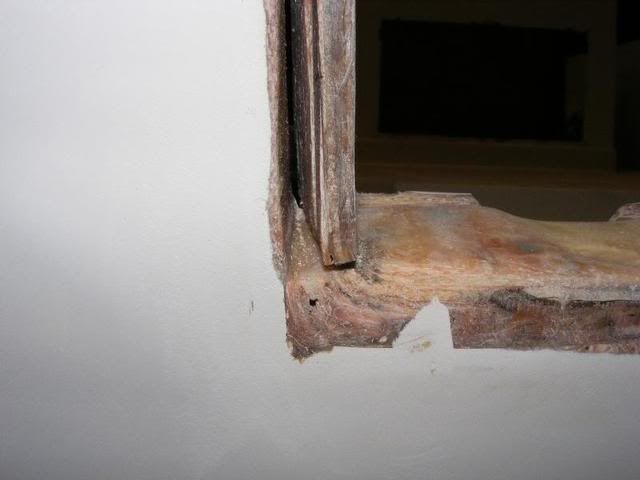 DSCF1062-1.jpg