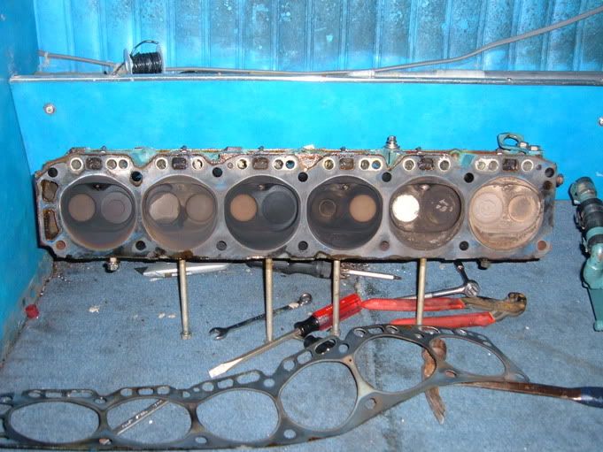 Dscf1575.jpg