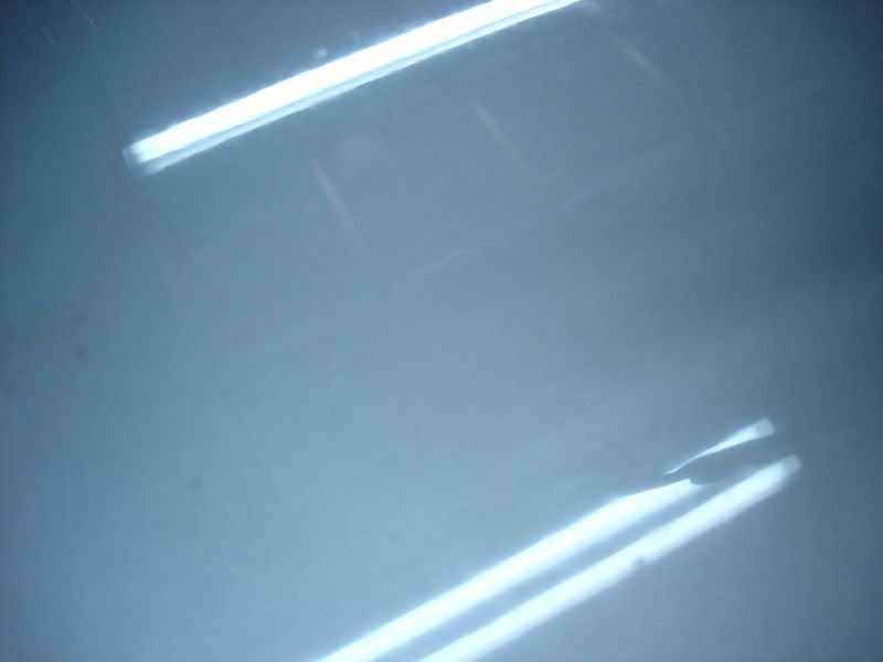 altima3.jpg