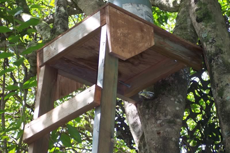 Diy Wood Ladder Stand