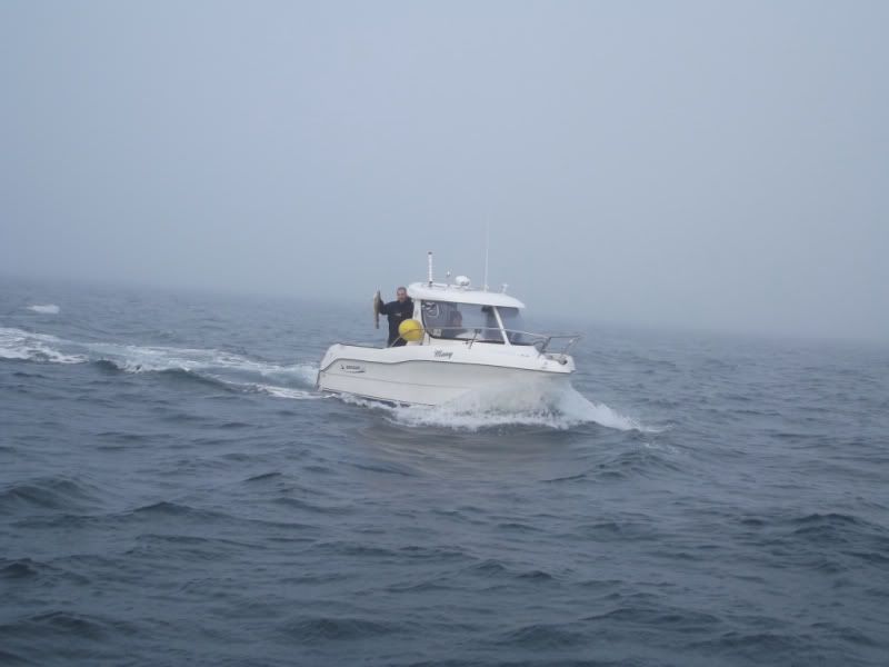 468e64b7.jpg